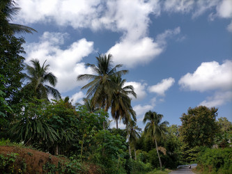 Similar image 22535838