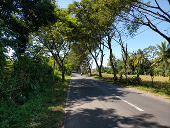 Similar image 22535854