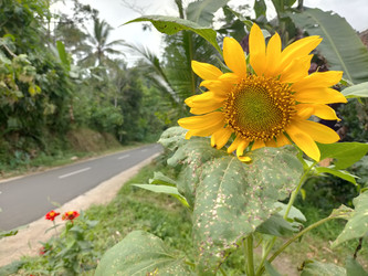 Similar image 22535855