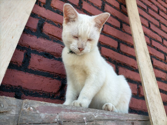 Similar image 22535868