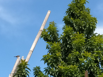 Similar image 22535883