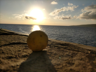 Similar image 22535899