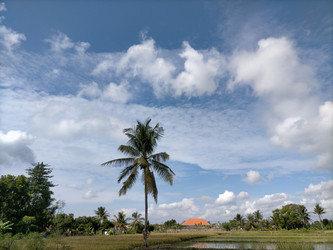 Similar image 22535914