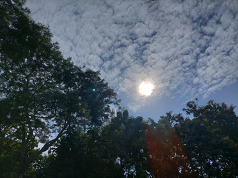 Similar image 22535958