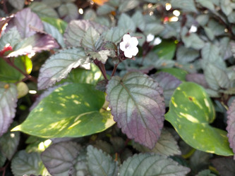 Similar image 22535986