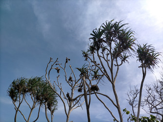 Similar image 22535987