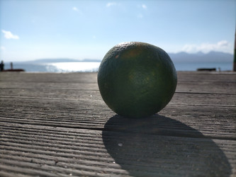 Similar image 22536001