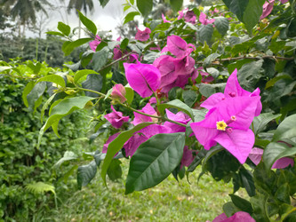 Similar image 22536019