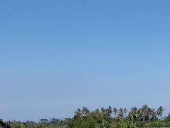 Similar image 22536035