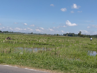 Similar image 22536061