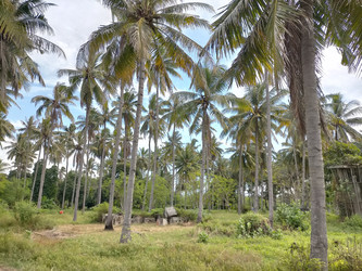 Similar image 22536108