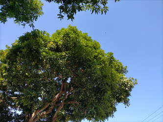 Similar image 22536109