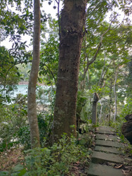 Similar image 22536125