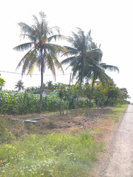 Similar image 22536137