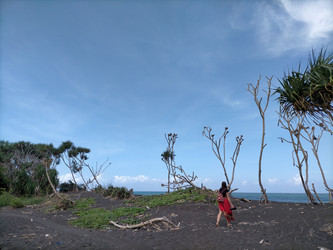 Similar image 22536199