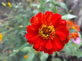 Similar image 22536214