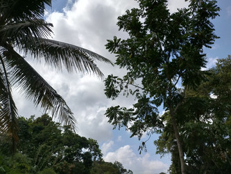 Similar image 22536229