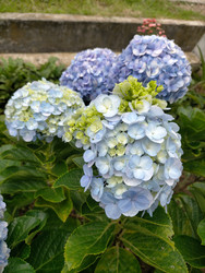 Similar image 22536241