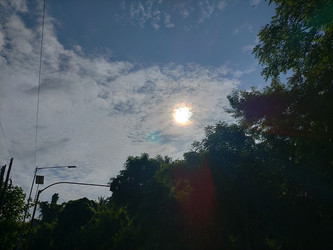 Similar image 22536242