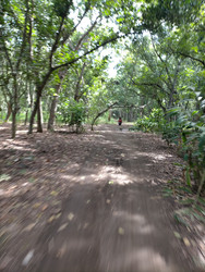 Similar image 22536331