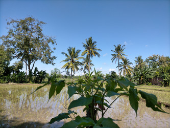 Similar image 22536332