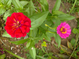 Similar image 22536350