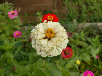 Similar image 22536377