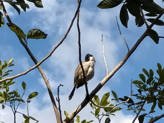 Similar image 22499471