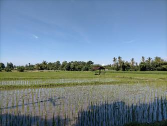 Similar image 22536393