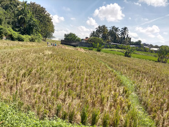 Similar image 22536409