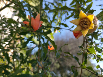 Similar image 22536422