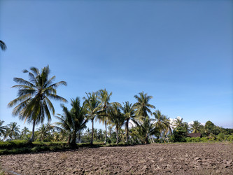 Similar image 22536438