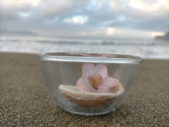 Similar image 22536452