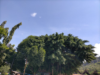 Similar image 22536467