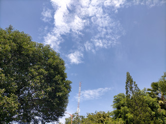 Similar image 22536483