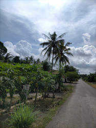 Similar image 22536496