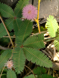 Similar image 22536511