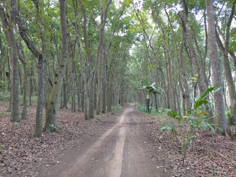 Similar image 22536543