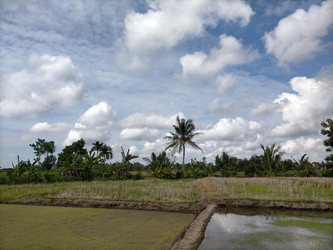 Similar image 22536572