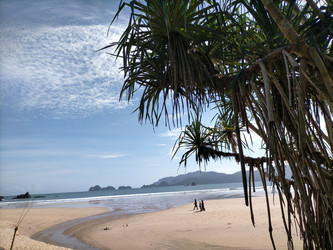 Similar image 22536573