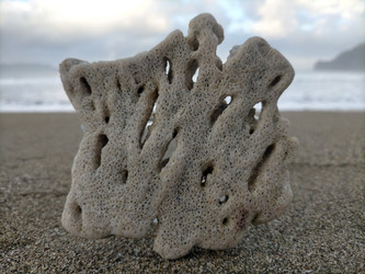 Similar image 22536586