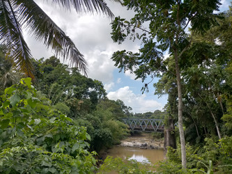 Similar image 22536587