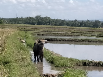 Similar image 22536619