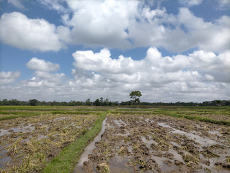 Similar image 22536635