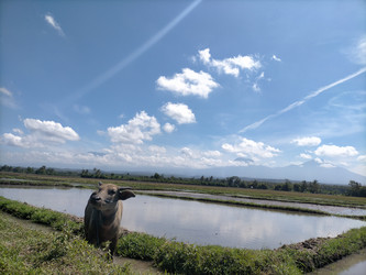 Similar image 22536638