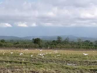 Similar image 22498615