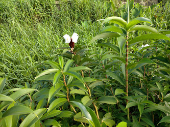 Similar image 22498631