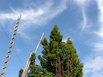 Similar image 22498645