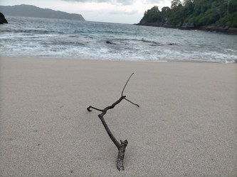 Similar image 22498661