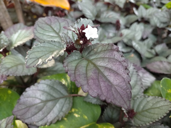 Similar image 22498676